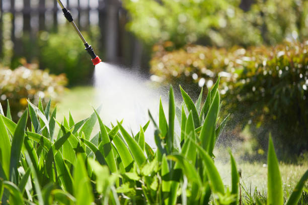 24/7 Emergency Mosquito Control experts in Ansonia, CT