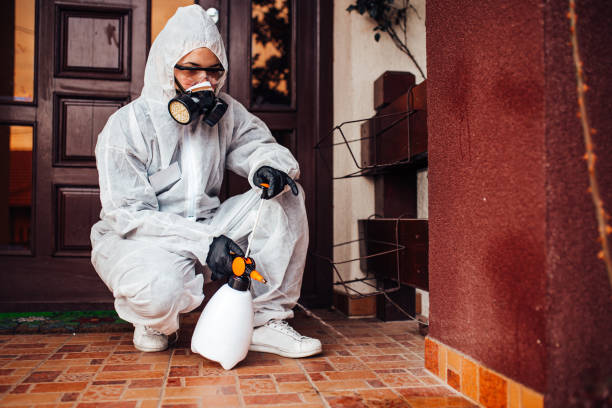 Reliable Mosquito Control contractor in Ansonia, CT by Show Me Pest Control