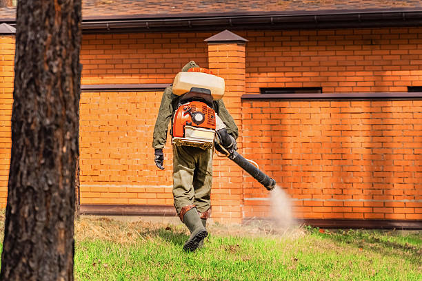 Top rated local Mosquito Control specialists in Ansonia, CT